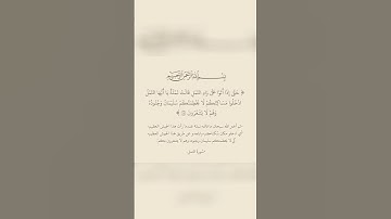 سورة النمل #quran #قرآن #قران_كريم