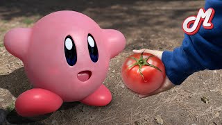 【Reallife Kirby】 I gave Kirby a tomato...