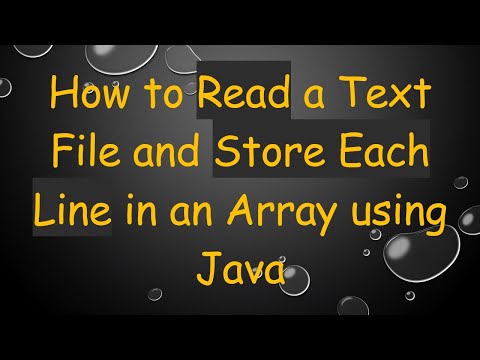 How to Read a Text File and Store Each Line in an Array using Java