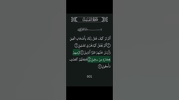 #سورة #اكسبلور #المصحف #ابوجودي #لايك #الرحمن #ابوغازي