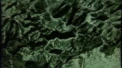 Introduction to Photo Interpretation  VT 103