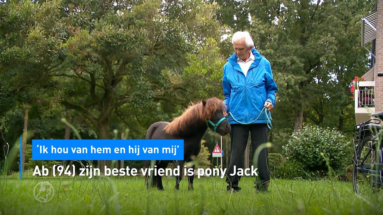 Ab (94) zijn beste vriend is pony Jack: 'Ik hou van hem en hij van mij