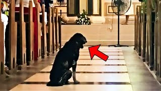 Pas je odbijao da napusti crkvu. Sveštenik je pogledao u kameru i vidio NEZAMISLIVO!