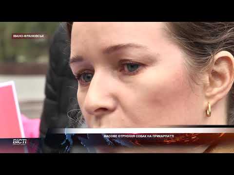 Масове отруєння собак в Івано-Франківську