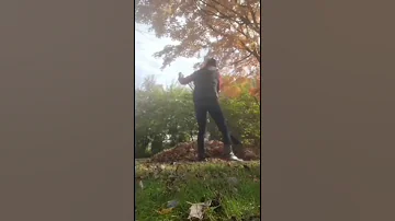 Raking Leaves Desi Girl Vibes Subscribe Viral Desi 