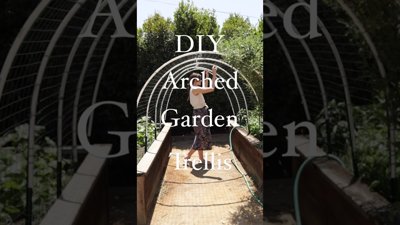 Арочная садовая решетка своими руками
