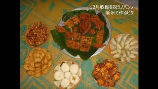 ベンガル料理のポテンシャル「お米と野菜編」
