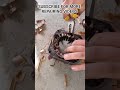 "Washing Machine Motor Winding Step by Step | New Copper Winding"