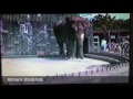 昭和55年 徳島動物園の動画ですjapanese Scenery の動画、YouTube動画。