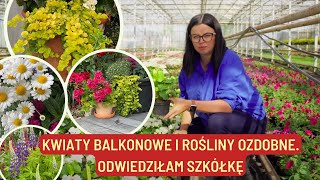 KWIATY BALKONOWE I ROŚLINY OZDOBNE. ODWIEDZIŁAM SZKÓŁKĘ