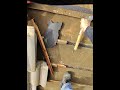 How to repair critter damage on Tile Roof - #frenchieroofer