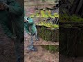 72 Hours in the Wild: My First Survival Experience!