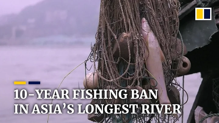 China imposes a 10-year fishing ban for Yangtze River to protect marine biodiversity - DayDayNews