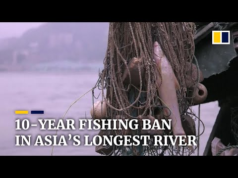 China imposes a 10-year fishing ban for Yangtze River to protect marine biodiversity