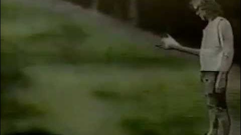 Zach Phillips "Is That Hole A Share Portal?" [Dir. : Joey Agresta]