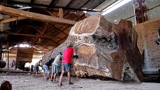 Ordered by a conglomerate valued at 1.4 billion, giant tamarind wood was sawn off from a sawmill