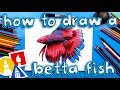 How To Draw A Realistic Betta Fish (Siamese Fighting Fish)