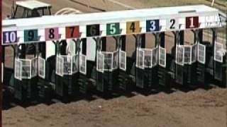 Ostrich Race 2011