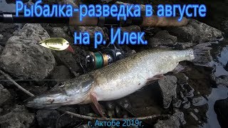 Рыбалка разведка в августе на р Илек г Актобе 2019г