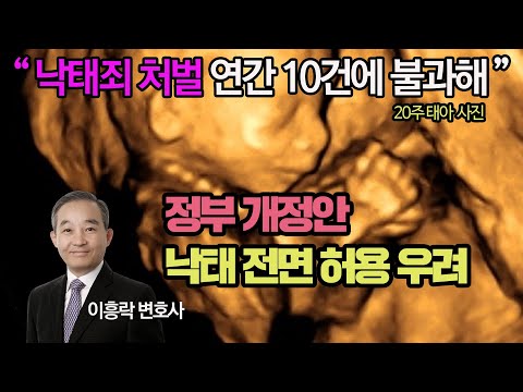 정부 낙태법 개정안(10월 7일) 전면낙태 허용 우려- 이흥락 변호사 [CHTV <strong>뉴스스탠드</strong>]