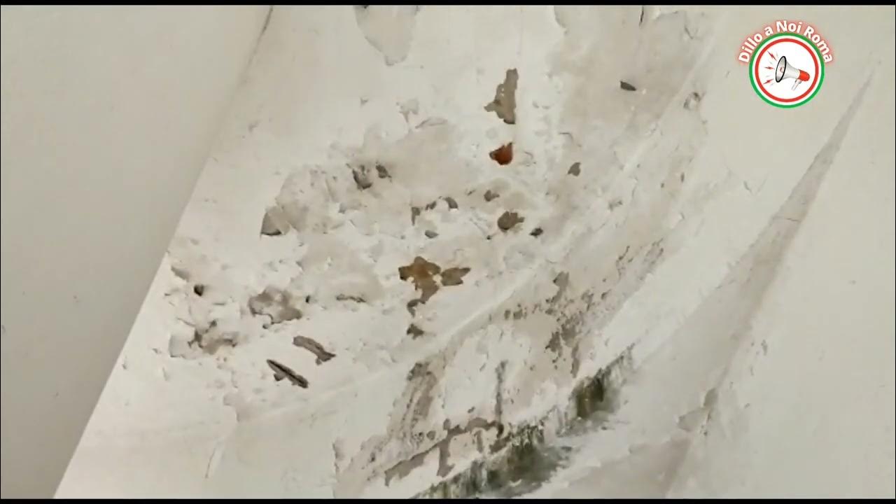 Cimitero Prima Porta Roma YouTube