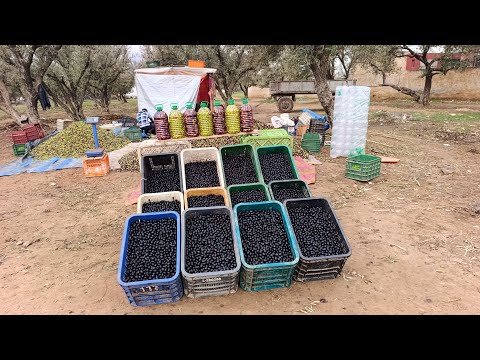 زيت وزيتون والخيرات ديال الشتاء