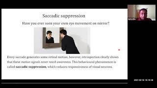 The eyes in action are the windows to the brain | Supriya Ray