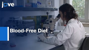 Blood-Free Diet To Rear Anopheline Mosquitoes l Protocol Preview
