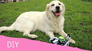 DIY Doggy Projects - Tennis Ball T-Shirt Tug Toy