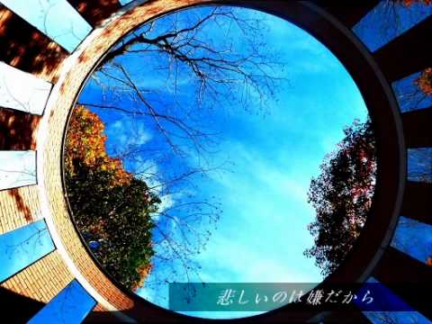 「約束をしよう」 supercell covered by ヒョウリ