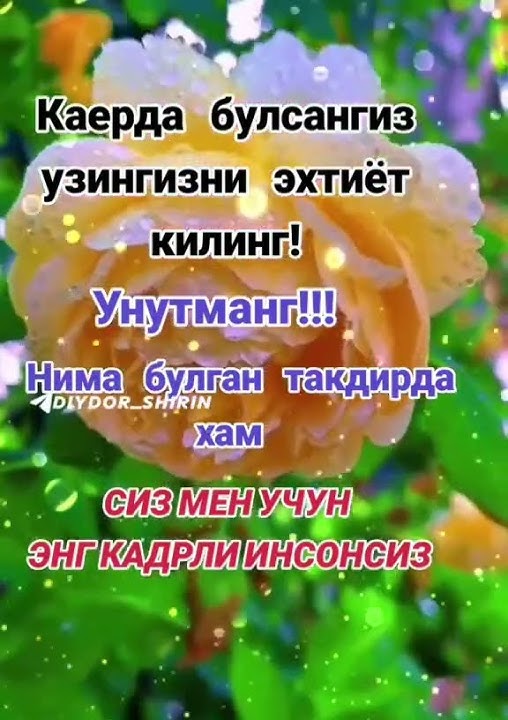 18 июля 2024 г.