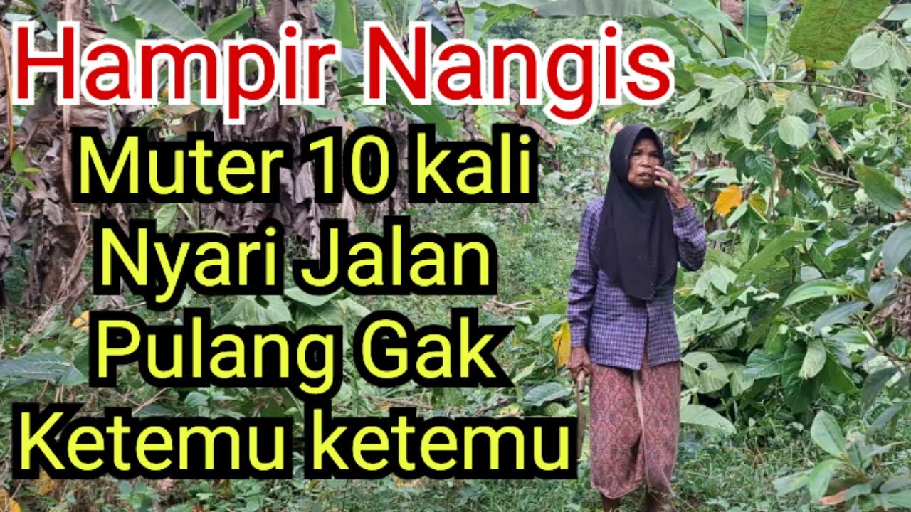 Seram!!! 10 Kali Muteri Kebun Tetap Gak Bisa Nemu Jalan Pulang