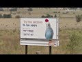 Billboard - BuyThisSpace.com.au (Tis the season to be seen Variant)