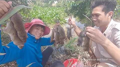 Bắt Chuột Đồng Mùa Gặt Lúa | Ẩm Thực Chuột Đồng Nướng | #2