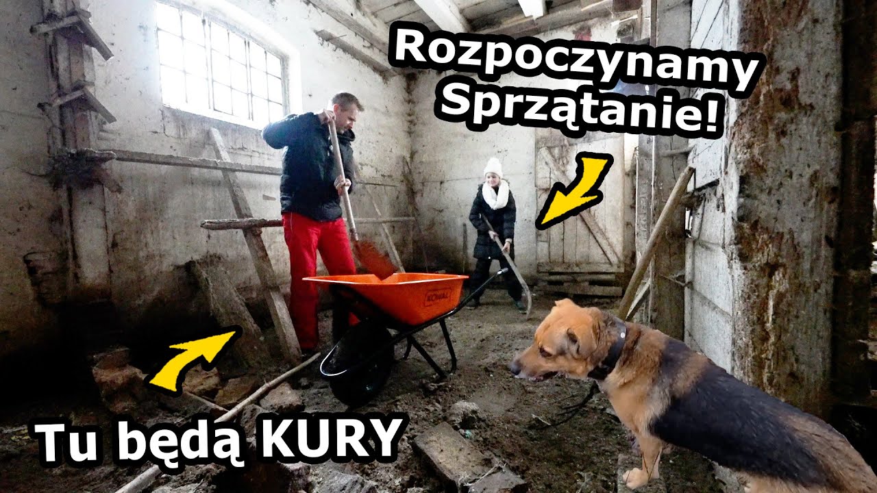 Sprzątamy Kurnik !!! - Ile chcemy mieć Kur? Przyjechali Panowie naprawić Lampę. *Nożyce Makita 