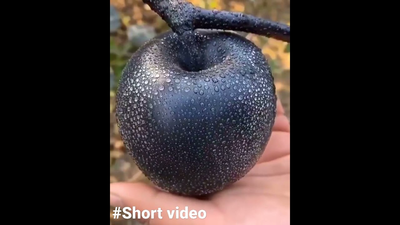 Black Diamond Apple🍎 - YouTube