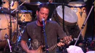 Video thumbnail of "Jimmie's Chicken Shack - Trash"