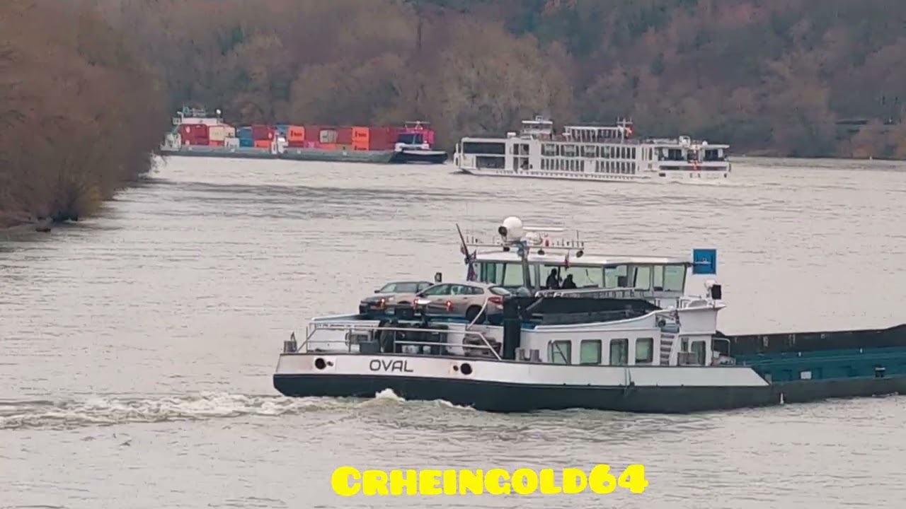 Es ist mal wieder soweit Euer Rheingold hat Schiffe für euch bereit! Nov 2025 Ship Spotting Germany 