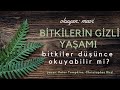 Bitkilerin Gizli Yaşamı: Bitkiler Düşünce Okuyabilir mi? - Peter Tompkins, Christopher Bird