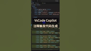 VSCode中写注释让AI生成代码 #vscode  #vscodecopilot #AI写代码