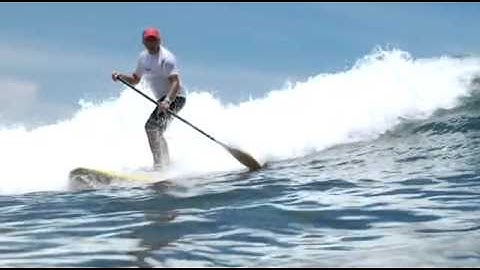 Jimmy Buffett Returns to Tahiti