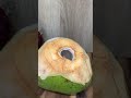 Solo Mezcla Agua de coco con tableta efervescente