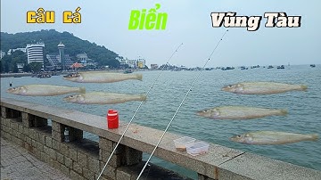 Điểm câu cá miễn phí ở công viên bãi trước, cho AE ở xa xuống Vũng Tàu trải nghiệm #caucabienvungtau