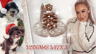 VLOGMAS WEEK 3 | XMAS TREE DECORATING, SHOW DAY & THE DOGS GROOM