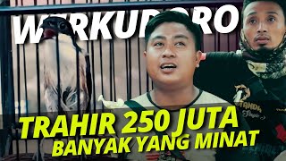 250 JUTA 😱 Cendet Werkudoro Menolak Bos Baru