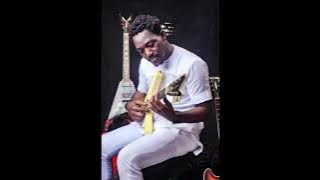 Alfred Izonebi (Jnrking): Izon Traditional Playlist