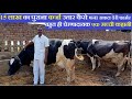 एक सफल डेरी फार्मर Dairy farm |hf cow farm in india ,hf cow price, profit