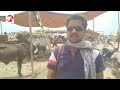 Mirpur Khas Mandi #Eid Vlog #Qurbani2023 #Sindh #shorts #viral Karachi-Pakistan in Urdu &amp; Hindi