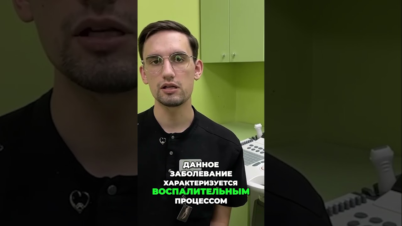 Кальцивироз кошек | симптомы, лечение и профилактика