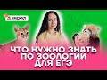 Что нужно знать по зоологии для ЕГЭ | Биология ЕГЭ 2022 | Умскул